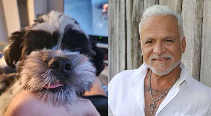 Wie heißt dein Hund?-Beitrag-Bild