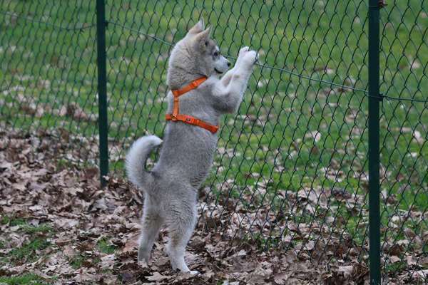 Sie werden so schnell erwachsen ...-Beitrag-Bild