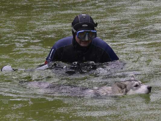 Dogorama-Monats-Challenge-Mai "Wasser"-Beitrag-Bild