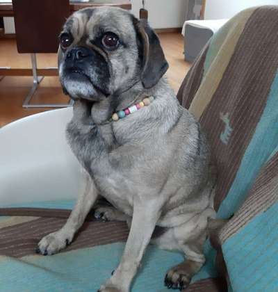 Wie hoch ist das Lebensalter-Beitrag-Bild