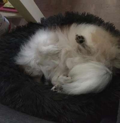 CHALLENGE NR. 34 - Liege-/Schlafpositionen-Beitrag-Bild