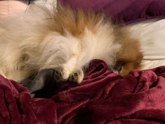 Schlafzeit!💖-Beitrag-Bild