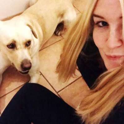 Akute Problemsituation mit jungem Hund nach OP: Besitzansprüche, Dauerstress, Kinder betroffen-Beitrag-Bild