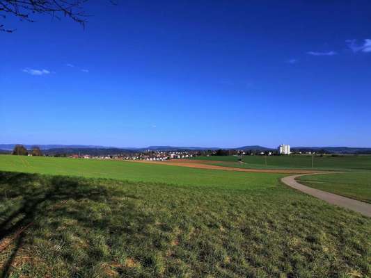 Hundeauslaufgebiet-Feldrunde in Dauchingen-Bild