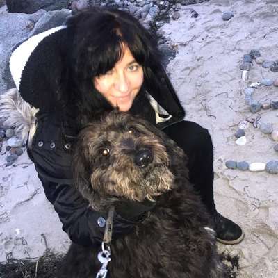 Hundetreffen-Treff am Münster