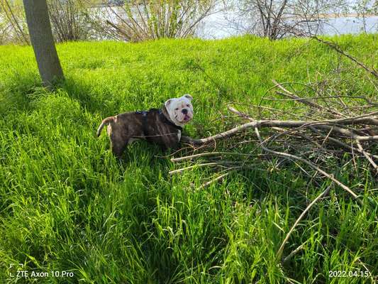 Handy-Foto-Challange Nr. 8-Beitrag-Bild