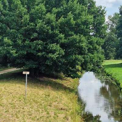 Hundestrand-Eger Nähermemmingen-Bild