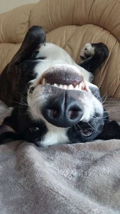 Fotochallange Nr. 57     PORTRÄT.   Beendet!!!!!!!!-Beitrag-Bild