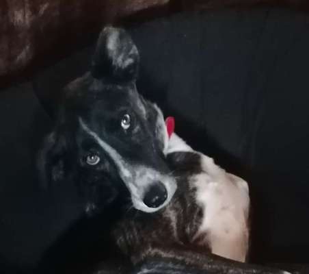 Fotochallange Nr. 57     PORTRÄT.   Beendet!!!!!!!!-Beitrag-Bild