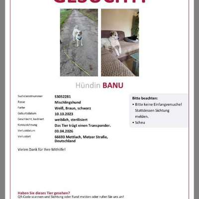 Suchmeldung-Banu-Bild