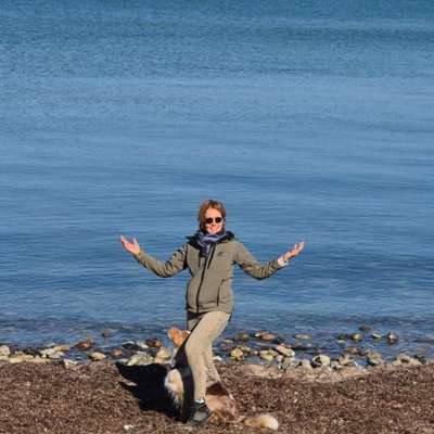 Hundetreffen-Nette Gassirunden-Bild