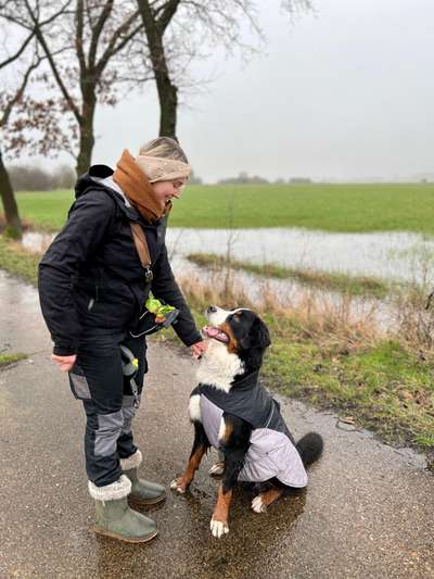 Hundetreffen-Gemeinsame Spaziergänge/ Training Hundebegegnungen gesucht-Bild