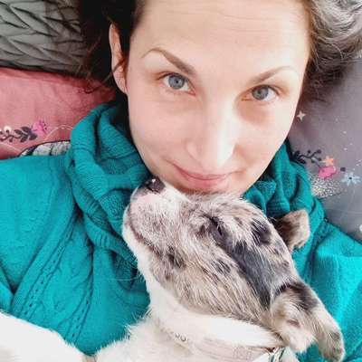 Hundetreffen-Welpentreffen