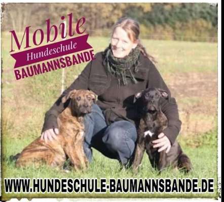 Hundeschulen-MOBILE HUNDESCHULE BAUMANNSBANDE-Bild