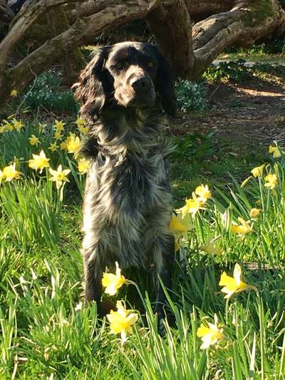 Fotochallenge 78

Es grünt und blüht-Beitrag-Bild