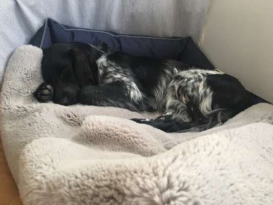 Foto-Challenge 76: Foto in Schwarz-Weiss-Beitrag-Bild