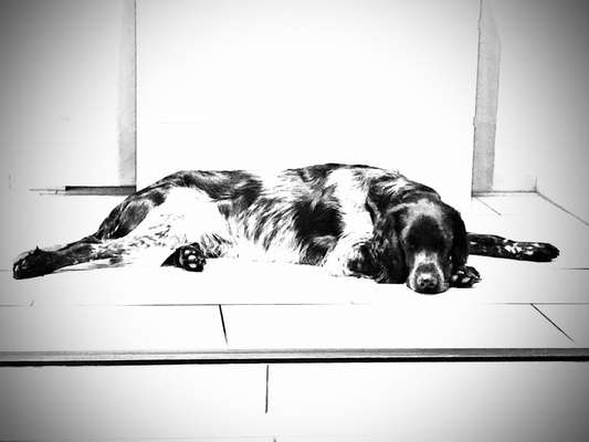 Foto-Challenge 76: Foto in Schwarz-Weiss-Beitrag-Bild