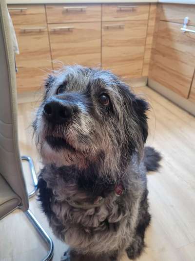 147. Foto Challenge: Bettelblick-Beitrag-Bild