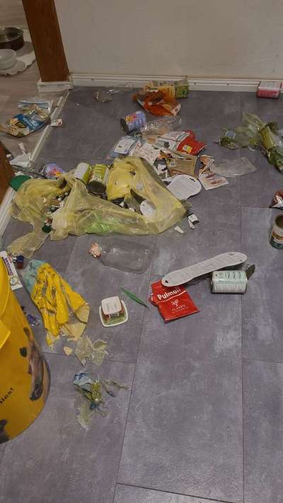 Chaos in der Bude-Beitrag-Bild