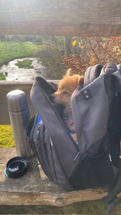 121. Fotochallenge-Beitrag-Bild