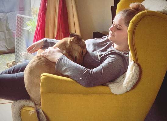 Fotowettbewerb "Liebeserklärung an deinen Hund!"-Beitrag-Bild