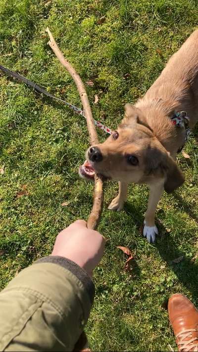 Fotochallenge 129-Beitrag-Bild