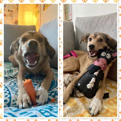 26. Collagen Challenge- Zeigt her eure Zähne-Beitrag-Bild