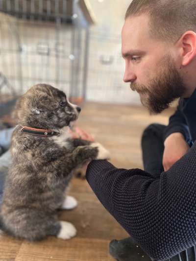 KUSCHEL PARTNER-Beitrag-Bild