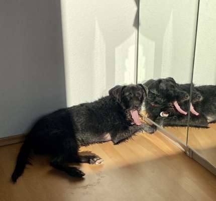 Lieblingsbild-Beitrag-Bild