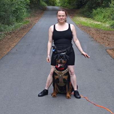 Hundetreffen-Spieltreffen-Profilbild