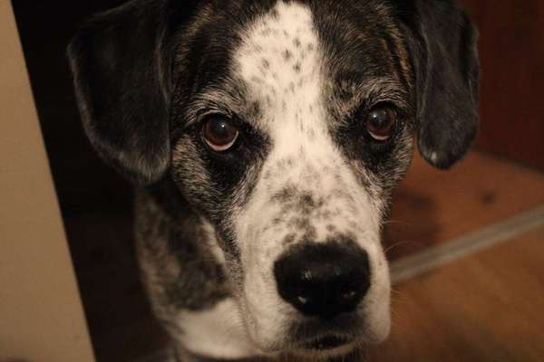 Doppelgänger gesucht !-Beitrag-Bild