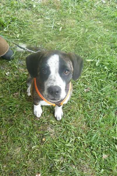 Handy-Foto Challange Nr. 10-Beitrag-Bild