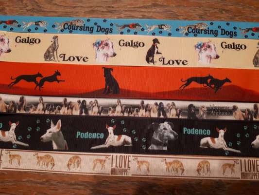 Windhunde - Treffen der besonderen Schönheiten
HERZLICH WILLKOMMEN-Beitrag-Bild