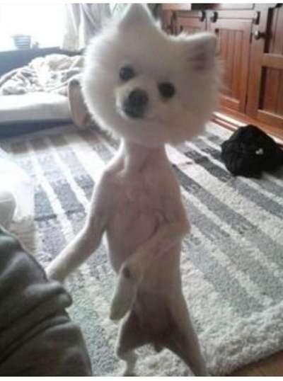 Freundschaftsanfragen-Beitrag-Bild