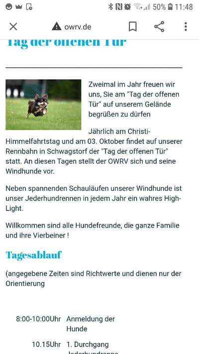 Windhunde - Treffen der besonderen Schönheiten
HERZLICH WILLKOMMEN-Beitrag-Bild