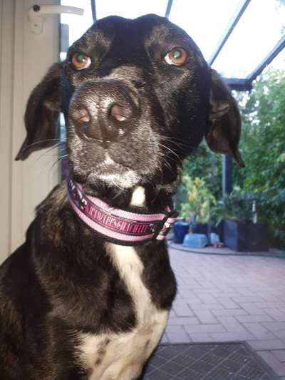 20. Handy -Foto-Callenge-Beitrag-Bild