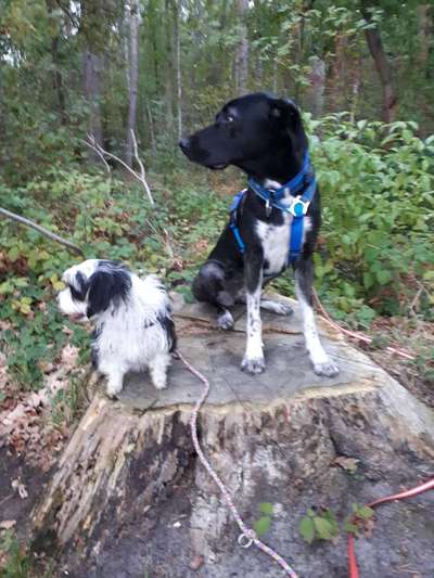 Groß oder Klein?-Beitrag-Bild