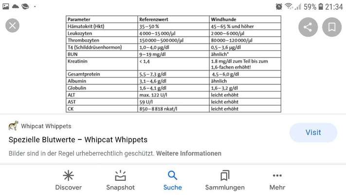 Windhunde - Treffen der besonderen Schönheiten
HERZLICH WILLKOMMEN-Beitrag-Bild