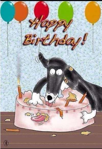 Windhunde - Treffen der besonderen Schönheiten
HERZLICH WILLKOMMEN-Beitrag-Bild