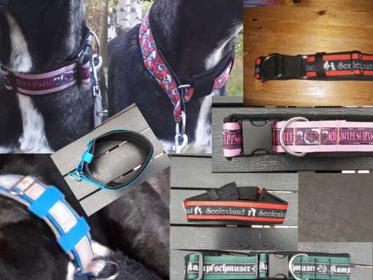 Selbstgemachte Artikel für Hunde-Beitrag-Bild