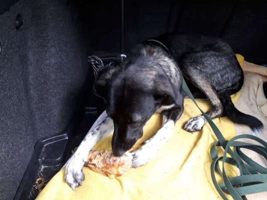 Trainingserfolge-Beitrag-Bild