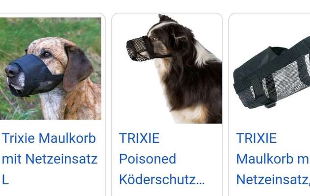 Zeigt mir doch bitte eure Maulkörbe!-Beitrag-Bild