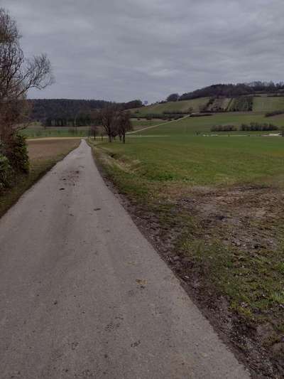 Hundeauslaufgebiet-Im Tal-Bild