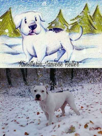 Zeichnungen Eurer Hunde !?-Beitrag-Bild