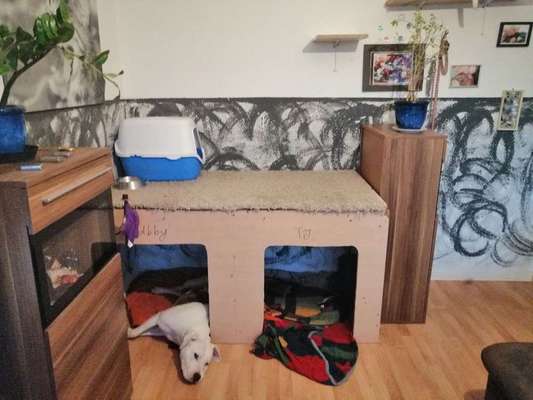 Im Bett schlafen-Beitrag-Bild