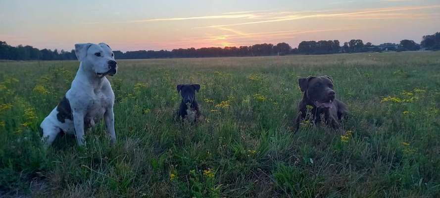 Lieblingsbild-Beitrag-Bild