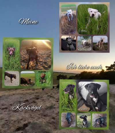 Doppelgänger gesucht !-Beitrag-Bild