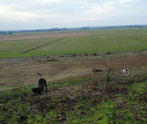 Länge der Spaziergänge-Beitrag-Bild
