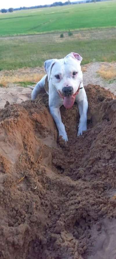 Tongue Out Tuesday-Beitrag-Bild