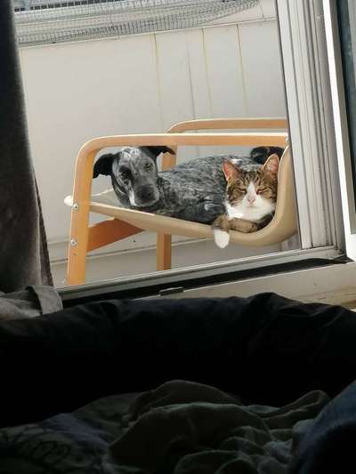 17. Handyfoto – Challenge-Beitrag-Bild